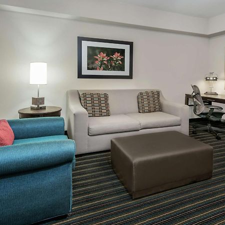 Hilton Garden Inn San Antonio/Rim Pass Drive מראה חיצוני תמונה