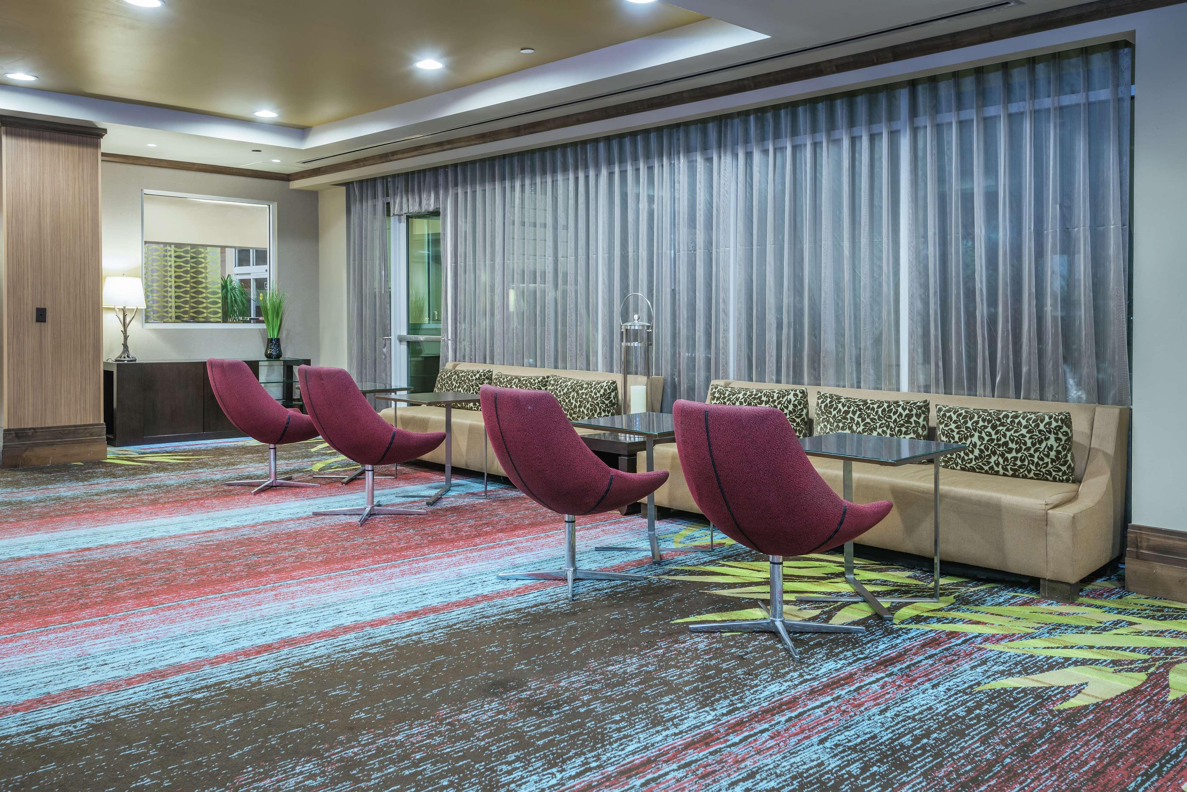 Hilton Garden Inn San Antonio/Rim Pass Drive מראה חיצוני תמונה
