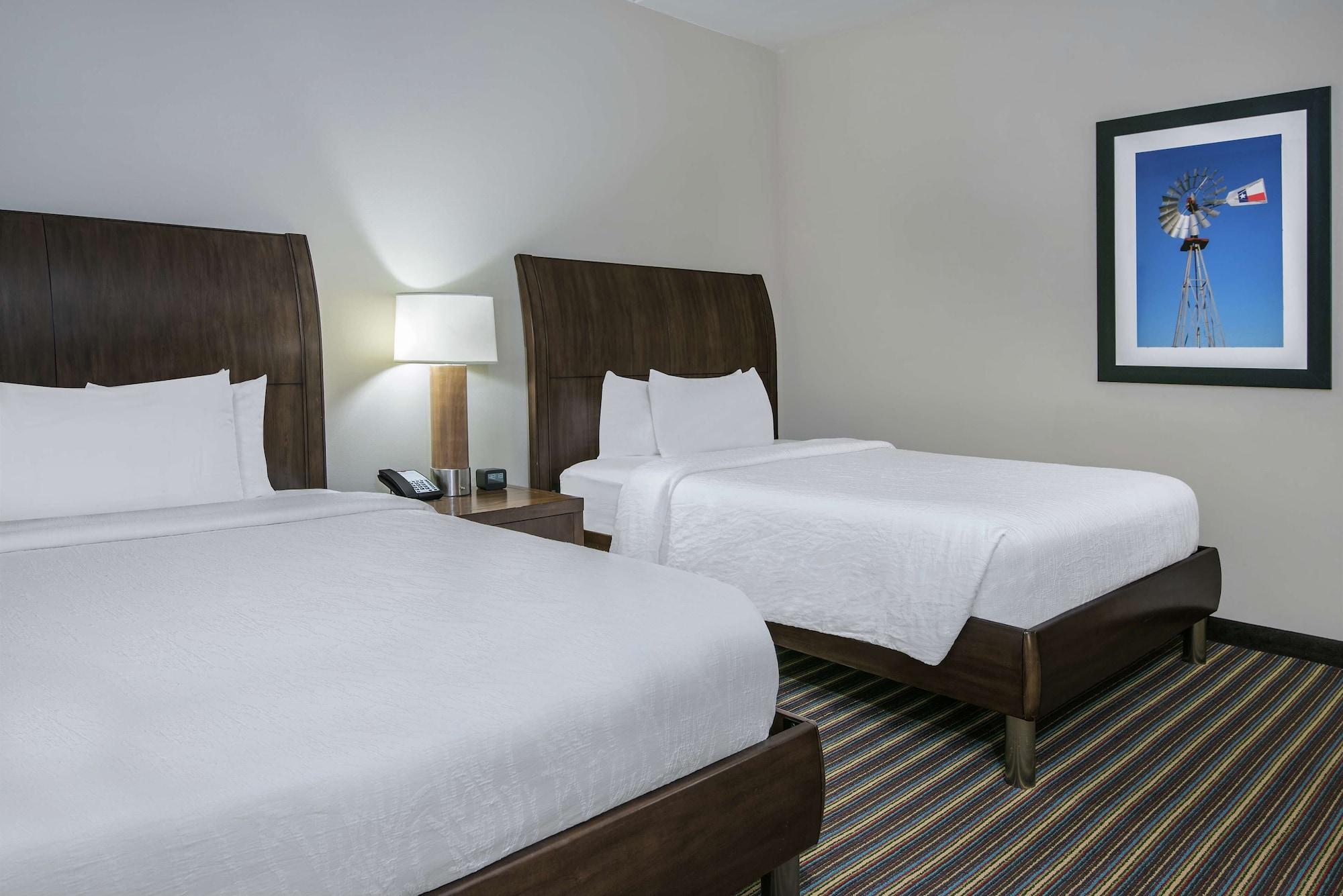 Hilton Garden Inn San Antonio/Rim Pass Drive מראה חיצוני תמונה