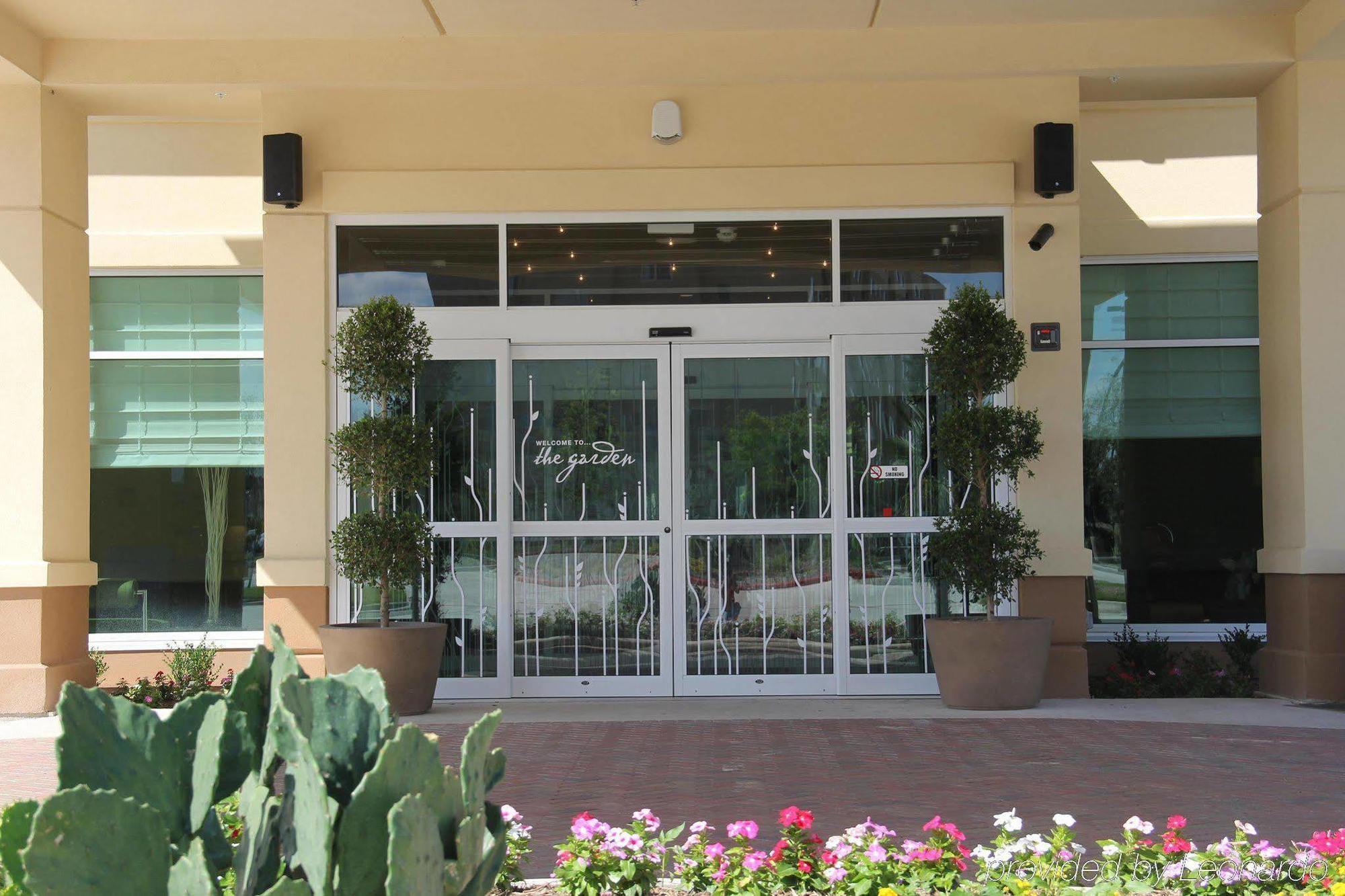 Hilton Garden Inn San Antonio/Rim Pass Drive מראה חיצוני תמונה