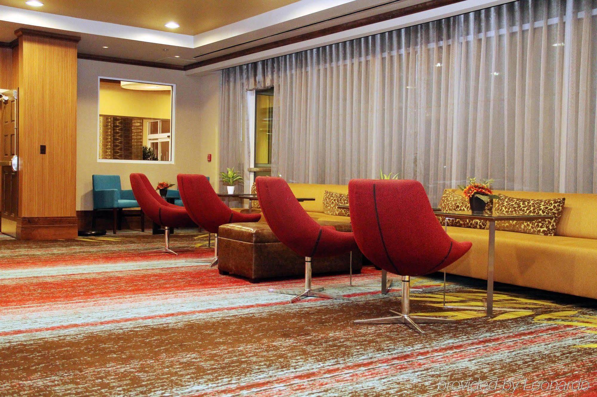 Hilton Garden Inn San Antonio/Rim Pass Drive מראה חיצוני תמונה